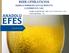 BEER OPERATIONS 3Q2016 & 9M2016 FINANCIAL RESULTS CONFERENCE CALL ROBIN GOETZSCHE