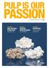PASSION PULP IS OUR FASTER PACE FOR PRODUCT LAUNCHES NEW STRATEGIC ACTION PLAN AGENDA 500 FOCUS ON SELECTED NICHES & EXPANSION