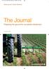 The Journal. Preparing the ground for successful divestment. Banking and Capital Markets. November 2009