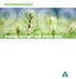 WEYERHAEUSER ANNUAL REPORT AND FORM 10-K