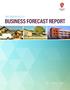BUSINESS FORECAST REPORT
