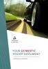 YOUR DOMESTIC POLICY DOCUMENT
