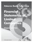 Financial Statements of Limited Companies