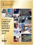 THE CAYMAN ISLANDS LABOUR FORCE SURVEY REPORT SPRING 2017