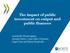 The impact of public investment on output and public finances