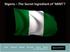 Nigeria The Secret Ingredient of MINT?