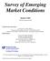 Survey of Emerging Market Conditions