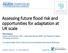 Assessing future flood risk and opportunities for adaptation at UK scale