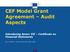 CEF Model Grant Agreement Audit Aspects Introducing Annex VII Certificate on Financial Statements