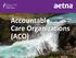 Accountable Care Organizations (ACO)