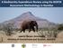 A Biodiversity Expenditure Review using the BIOFIN Assessment Methodology in Namibia