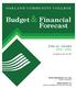 Budget & Financial Forecast