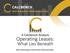 A Calcbench Analysis. Operating Leases: What Lies Beneath. Next Generation Interactive Financial Data