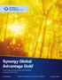 Synergy Global Advantage Gold. Fixed Indexed Universal Life Insurance Consumer Brochure