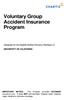 Voluntary Group Accident Insurance Program