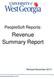 Revenue Summary Report