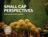 SMALL CAP PERSPECTIVES RUSSELL 2000 INDEX QUARTERLY ANALYSIS