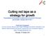 Cutting red tape as a strategy for growth