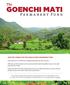 Goenchi Mati. Permanent Fund. Join the chorus for the Goenchi Mati Permanent Fund