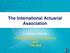 The International Actuarial Association