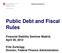 Public Debt and Fiscal Rules