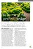 In search of the perfect hedge