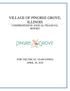 VILLAGE OF PINGREE GROVE, ILLINOIS COMPREHENSIVE ANNUAL FINANCIAL REPORT