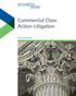 Commercial Class Action Litigation. Practice Overview