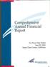 SAN JOSE, CALIFORNIA. Comprehensive Annual Financial Report. For Fiscal Year Ended June 30, 2004