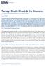 Turkey: Credit Shock & the Economy