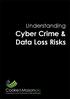 Understanding Cyber Crime & Data Loss Risks