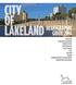 CITY OF LAKELAND DEMOGRAPHIC