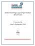 Understanding Legal Organization Structures