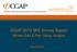 CGAP 2010 MIV Survey Report. Market Data & Peer Group Analysis