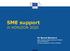 SME support in HORIZON 2020