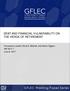 GFLEC Working Paper Series DEBT AND FINANCIAL VULNERABILITY ON THE VERGE OF RETIREMENT
