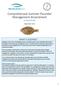 Comprehensive Summer Flounder Management Amendment Scoping Guide