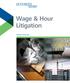 Wage & Hour Litigation. Practice Overview