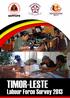 Preface. Timor-Leste Labour Force Survey 2013