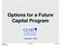 Options for a Future Capital Program