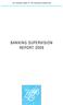 THE CENTRAL BANK OF THE RUSSIAN FEDERATION BANKING SUPERVISION REPORT 2009