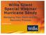 Willis Client Special Webinar Hurricane Sandy