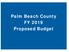 Palm Beach County FY 2019 Proposed Budget