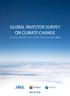 Global Investor Survey on Climate Change. Annual report on actions and progress 2010