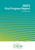 NGFS First Progress Report