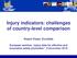 Injury indicators: challenges of country-level comparison Rupert Kisser, EuroSafe