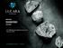MAKING DIAMOND HISTORY. 121 Mining Investment Cape Town February LucaraDiamond.com LUC.TO