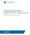 capital ii corporation fisgard capital ii investment brochure a brighter financial future