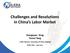 Challenges and Resolutions in China s Labor Market