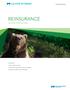 REINSURANCE ESCAPING FROM THE BEARS. Financial Services